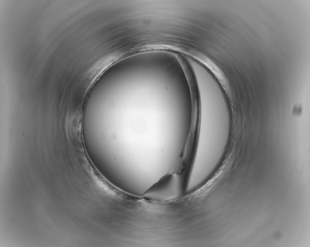 X0000090460809200708102110