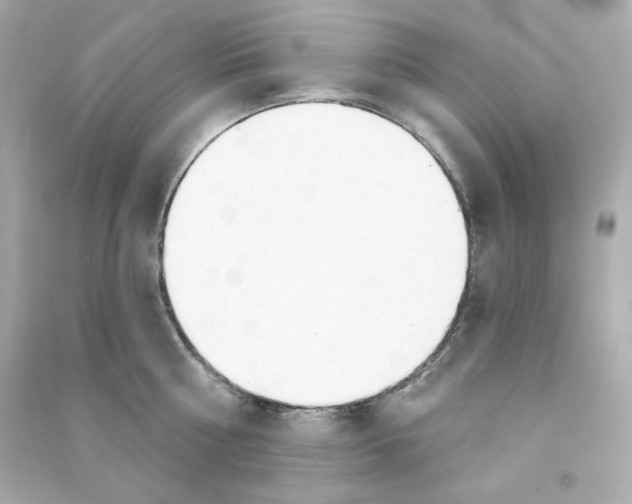 X0000090460810200708102110