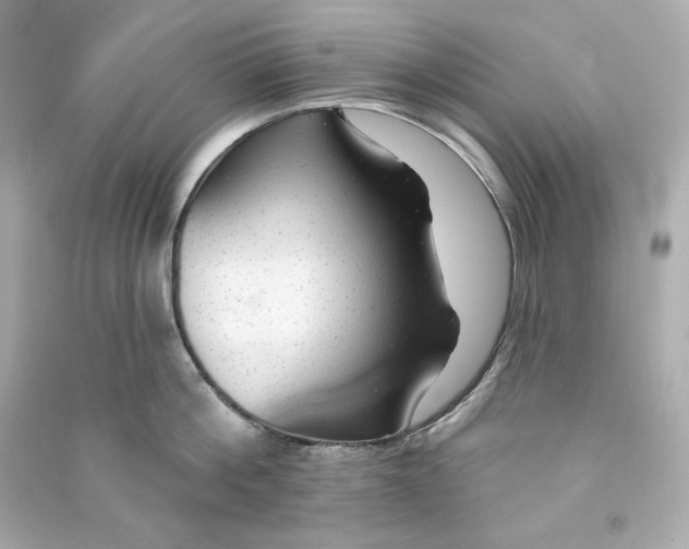X0000090460812200708102110