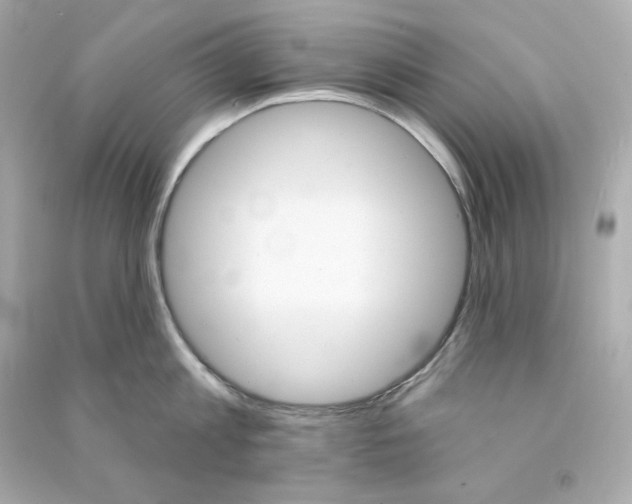 X0000090460813200708102110