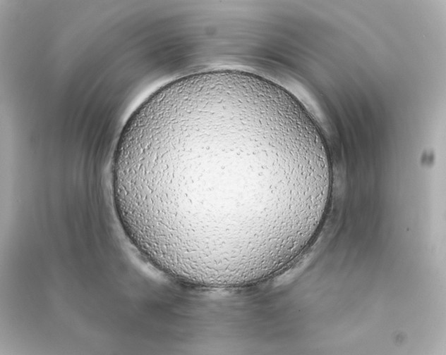 X0000090460814200708102110
