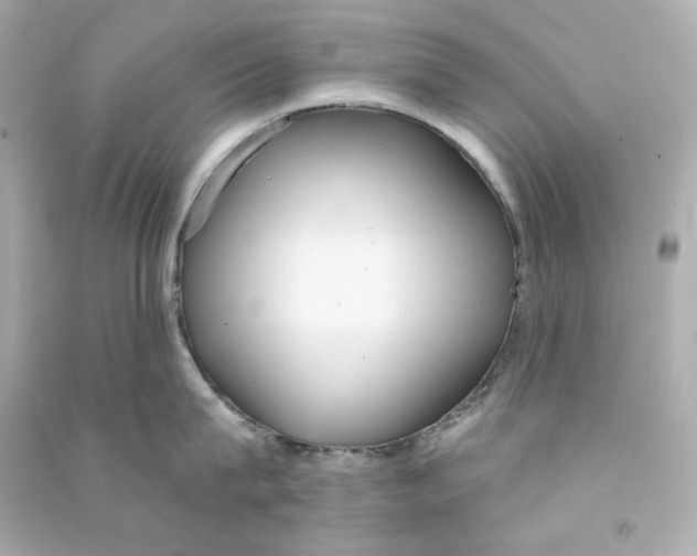 X0000090460815200708102110
