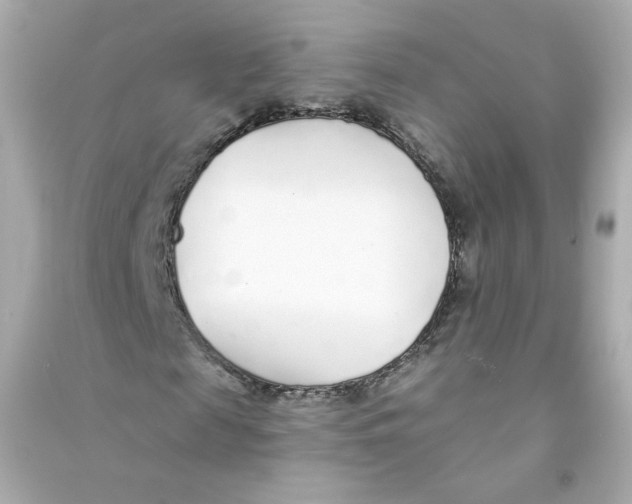X0000090460817200708102109