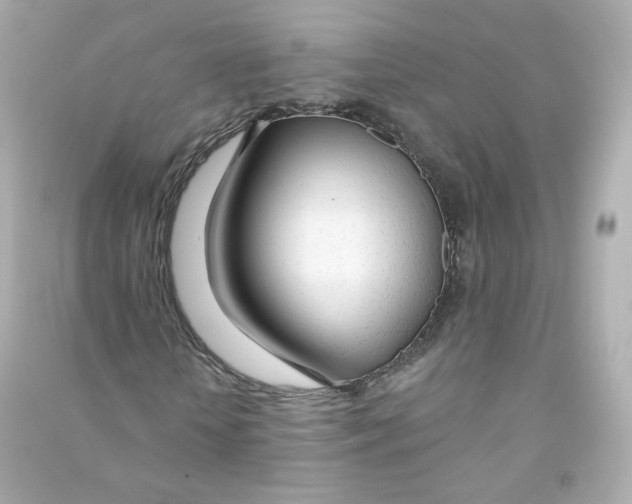 X0000090460818200708102109