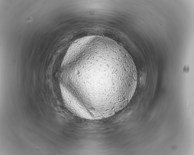 X0000090460819200708102109