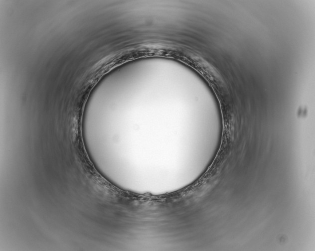 X0000090460821200708102109