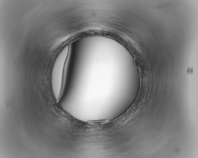 X0000090460822200708102109