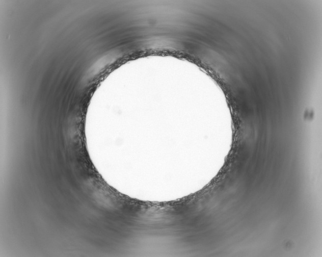 X0000090460824200708102109
