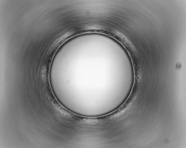 X0000090460825200708102109