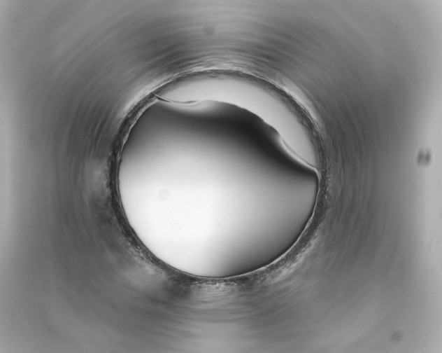 X0000090460826200708102109