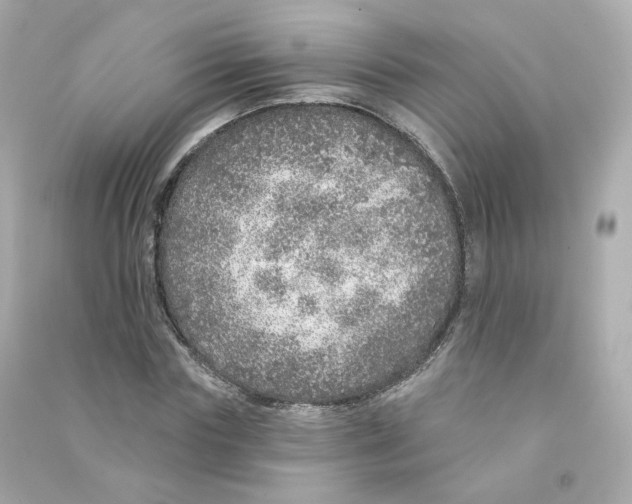 X0000090460827200708102109
