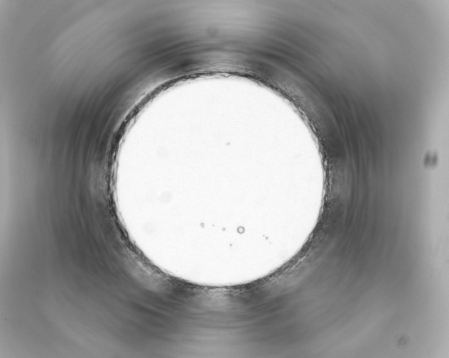 X0000090460828200708102109