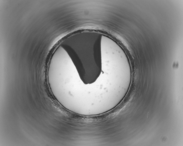 X0000090460829200708102109