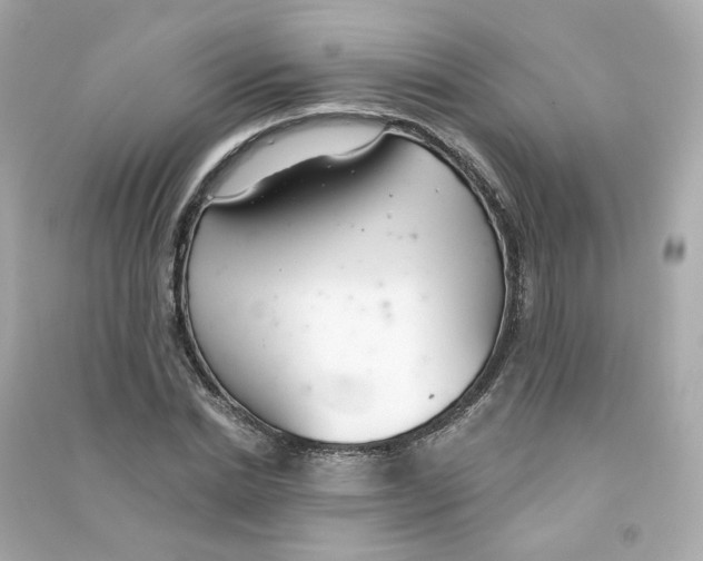 X0000090460830200708102109