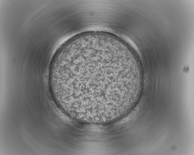 X0000090460831200708102109