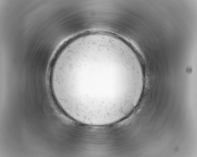 X0000090460832200708102109