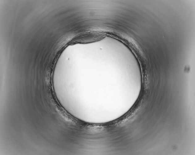 X0000090460833200708102109