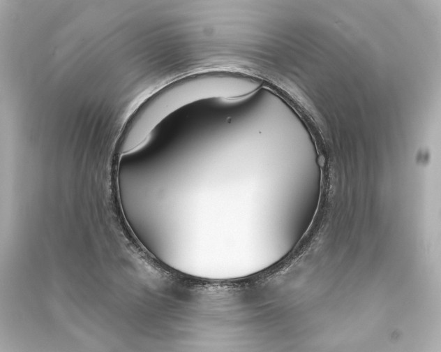 X0000090460834200708102109