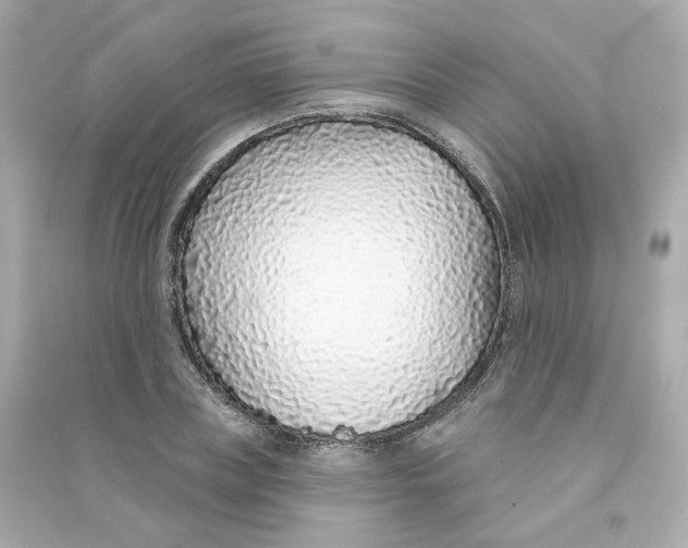 X0000090460835200708102109