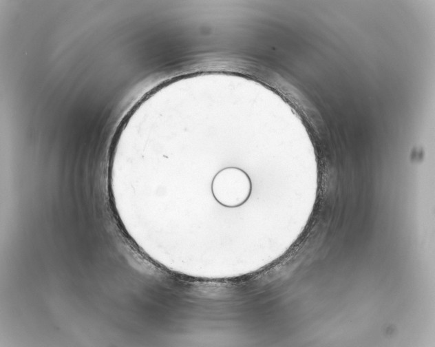 X0000090460836200708102109