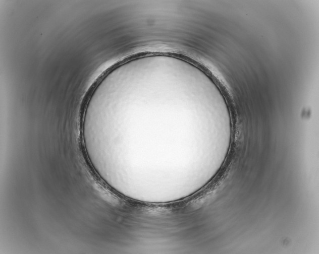 X0000090460837200708102109