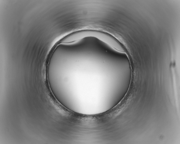 X0000090460838200708102109