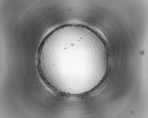 X0000090460839200708102109