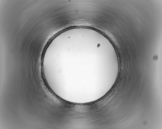 X0000090460840200708102109