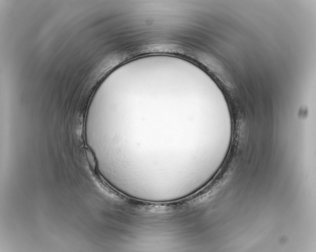 X0000090460841200708102109
