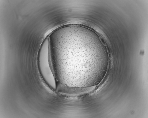 X0000090460842200708102109
