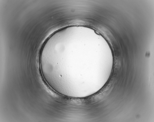 X0000090460843200708102109