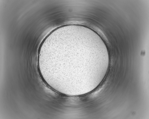 X0000090460844200708102109