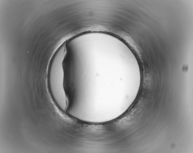 X0000090460845200708102109