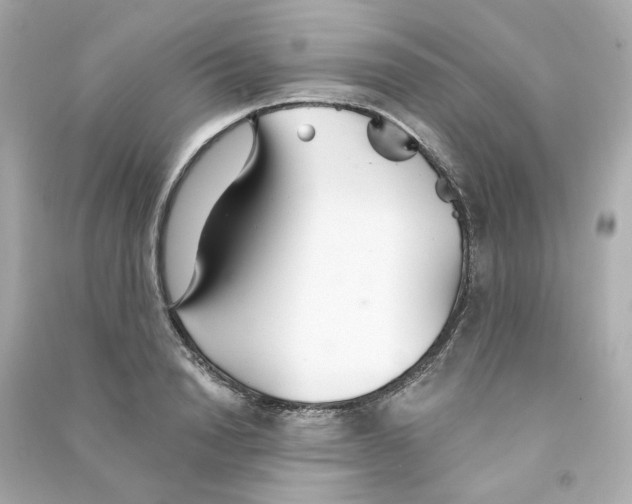 X0000090460846200708102109