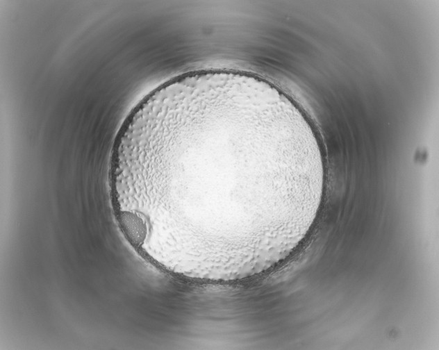 X0000090460847200708102109