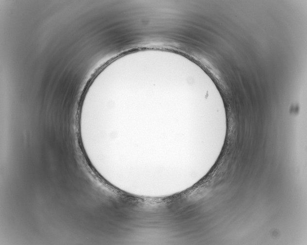 X0000090460848200708102109