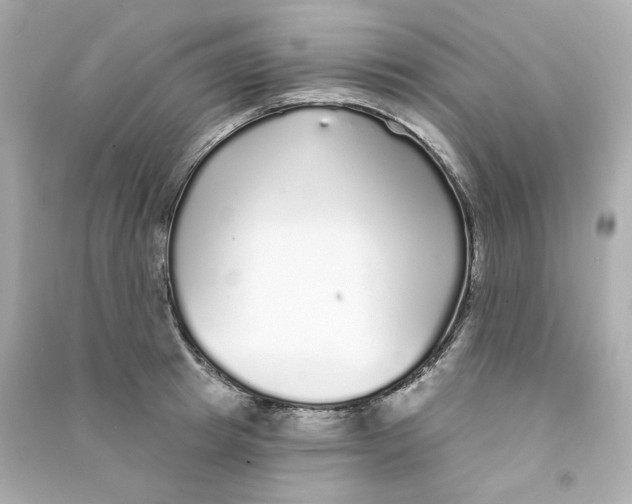 X0000090460849200708102109
