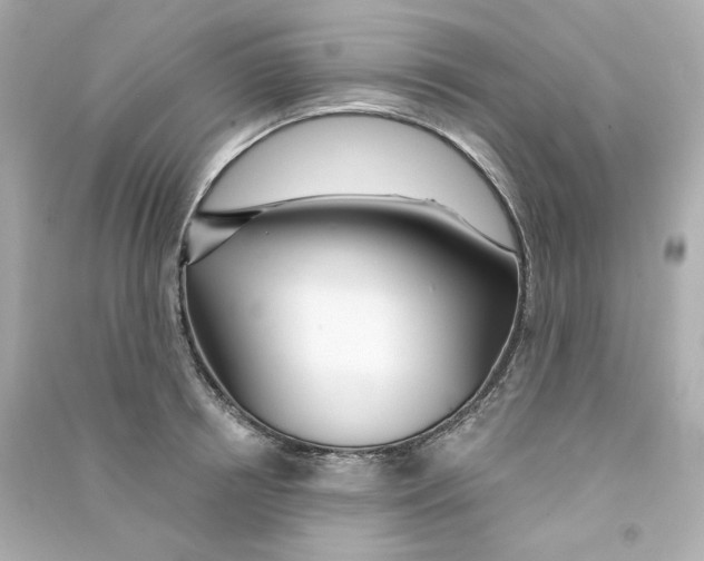 X0000090460850200708102109