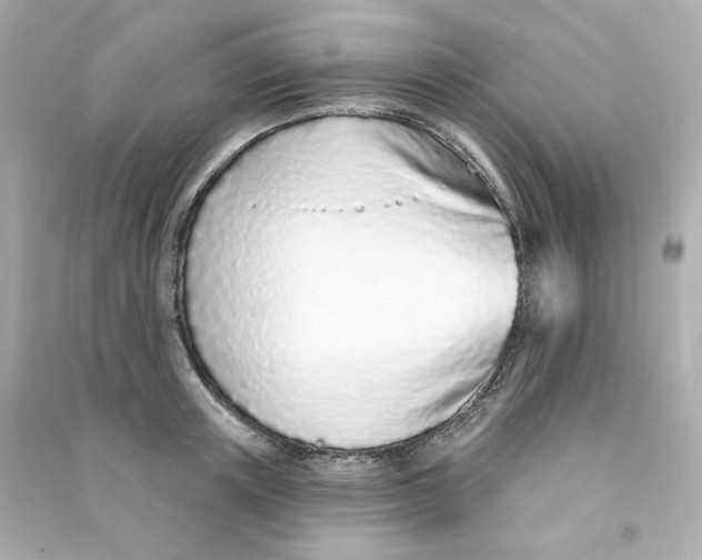 X0000090460851200708102109