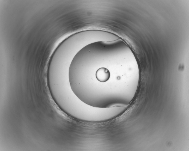 X0000090460854200708102109