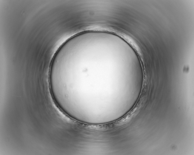 X0000090460855200708102109