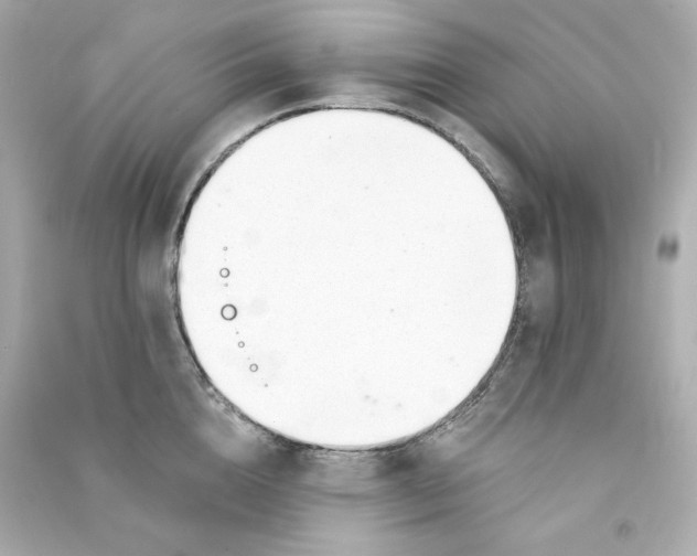 X0000090460856200708102109