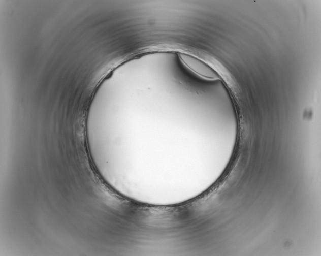 X0000090460857200708102109