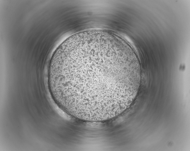 X0000090460859200708102110