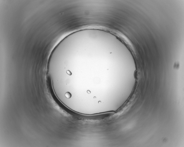 X0000090460860200708102110