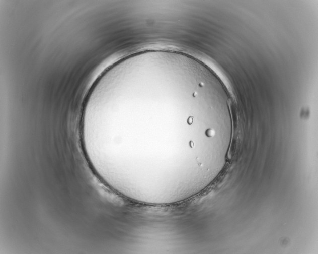 X0000090460861200708102110