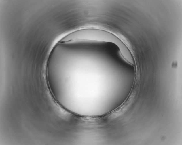X0000090460862200708102110