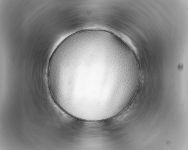 X0000090460863200708102110