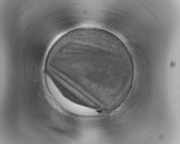 X0000090460864200708102110