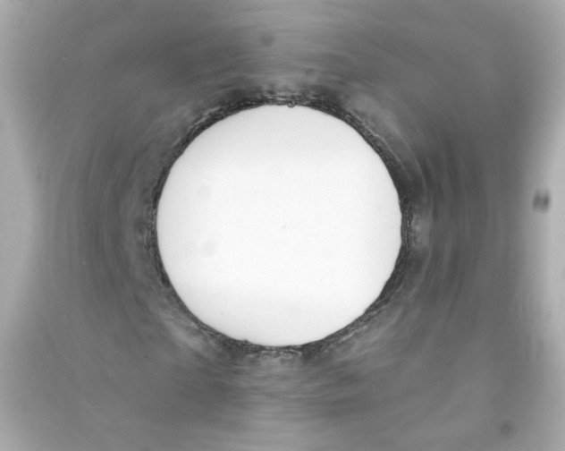 X0000090460865200708102109